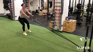 Sled Row [2-arm]