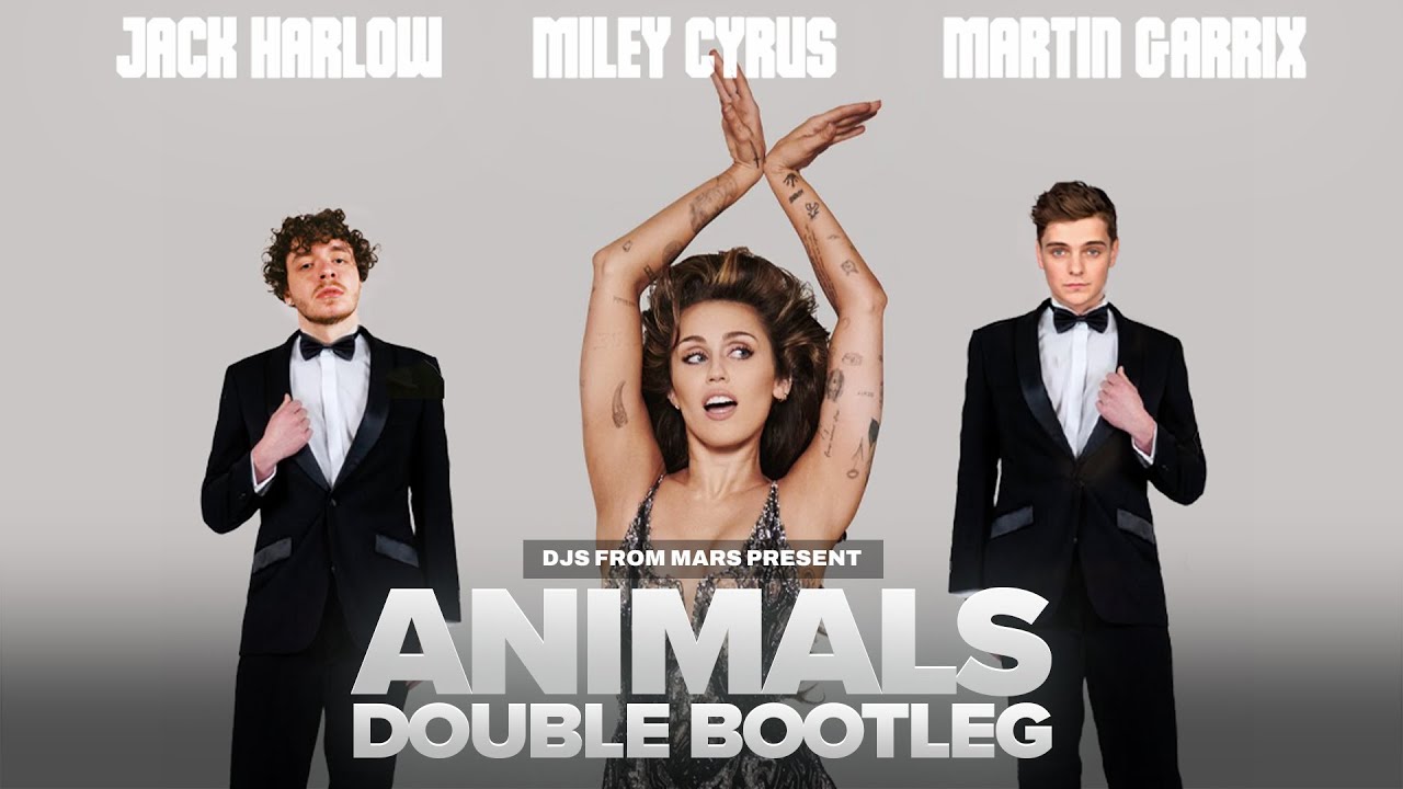 Martin Garrix Vs Miley Cyrus Vs Jack Harlow   Doctor Lovin Animals Djs From Mars Double Bootleg