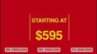 STV BREAKING DAWN LIVE STREAM | TUESDAY 24TH JUNE 2025