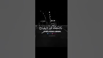 من سورة الروم | القارئ ياسر الدوسري #قرآن #سورة_الروم #ياسر_الدوسري #تلاوات #قران_كريم #حالات_واتس