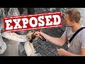 Animal Abuse Just to Please Tourists - EXPOSED