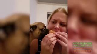 Я РЖАЛ ПОЛЧАСА. Смешные видео животных! Я РЖАЛ ПОЛЧАСА. Смешные видео животных!