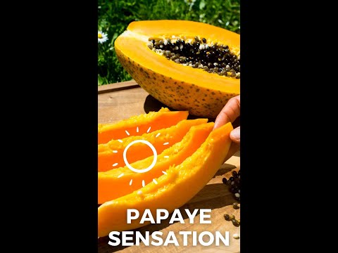Vidéo: 3 façons de reconnaître les caractéristiques d'une pastèque pourrie