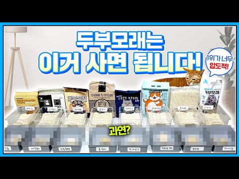 [최강의 모래찾기 대전] 두부모래편 / 두부모래 8종 끝장 비교 실험!! 그냥 이거 사면 됩니다