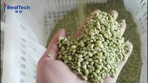 wheat color sorter multifunction grain color sorting machine