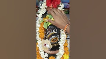शिवलिंग पर कनेर के पुष्प का उपाय #pradeepmishraji #mhadevbhakt #shivmahapurankatha #pushp #belpatra