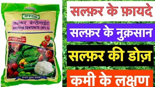 Sulphur Kya Hota Hai  Details  Sulphur 80 Wdg Uses  Sulphur 90 Wdg Uses In Hindi 
