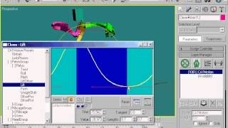 Catvideotut Catmotion