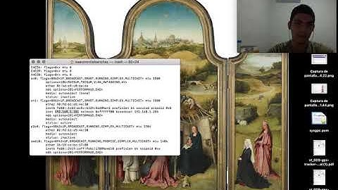 Java Sockets Cliente Servidor Simulador