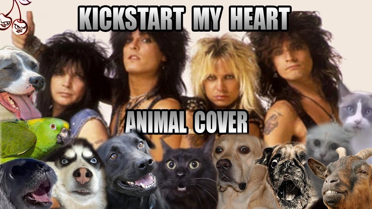 Motley Crue - Kickstart My Heart (Animal Cover)
