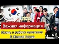Жизнь нелегалов в Южной Корее | Работа в Корее 2023 год