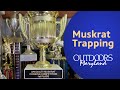 Muskrat Trapping | Outdoors Maryland