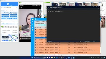 [ SELL ] Tool cày xu TikTok Auto Tương Tác Chéo & Trao Đổi Sub (TTC&TDS) | Tournes