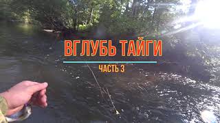 ВГЛУБЬ ТАЙГИ  Ч.3!!!ПОИСКИ  РЫБЫ/ДОСАДНЫЕ СХОДЫ КРУПНЫХ ХАРИУСОВ!!!