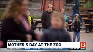 Mother's Day at the Zoo