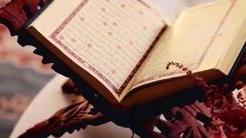سورة الهمزة / ادريس ابكر