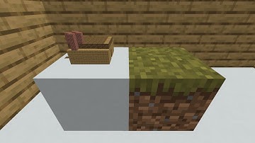 it will hurt your brain cell ( Non-Euclidean Minecraft )