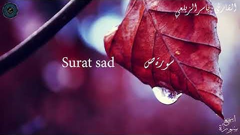 القارئ ياسر الزيلعي تلاوة تفوق الوصف  سورة ص كامله Surat Sad