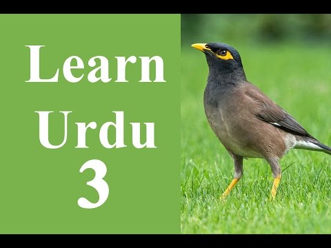 Learn Urdu through English for beginners lesson 3