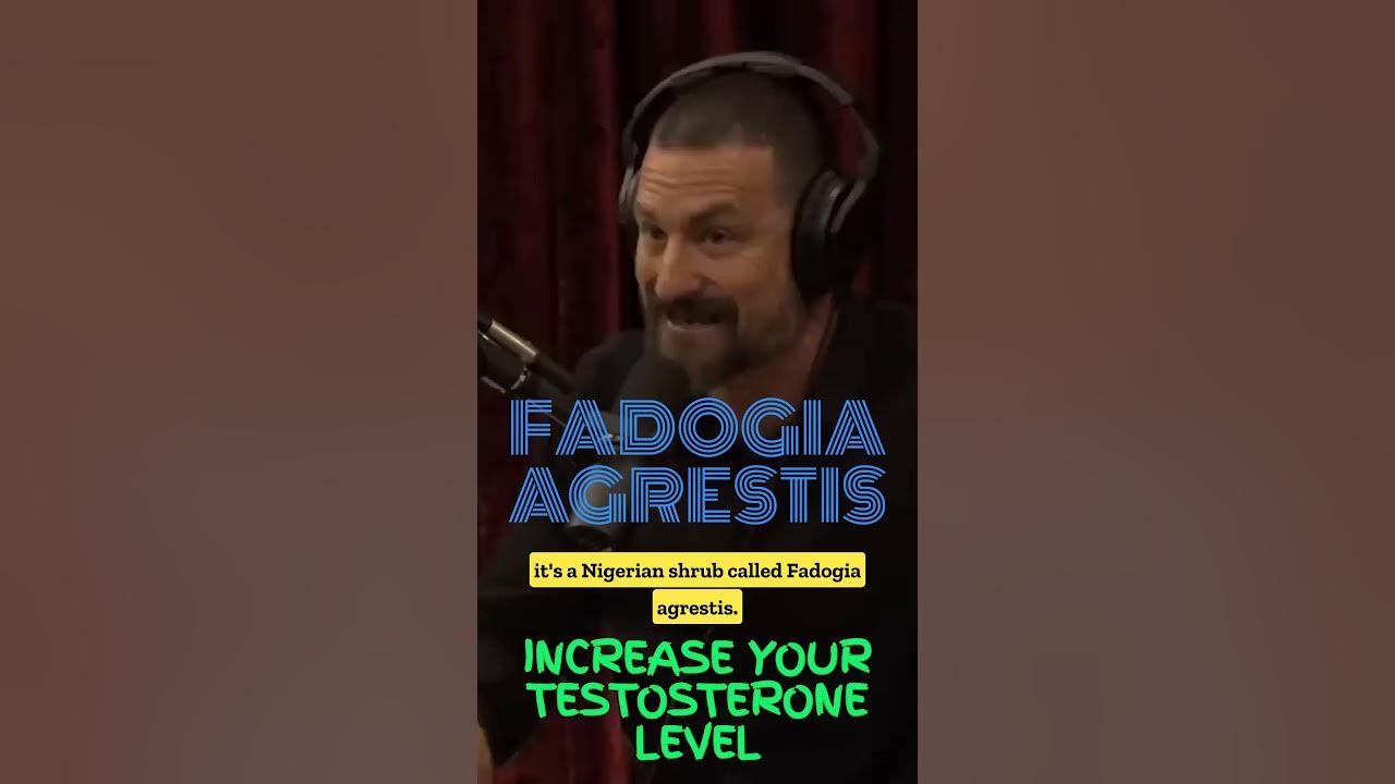Increase testosterone levels tongkat ali & fadogia agrestis Andrew