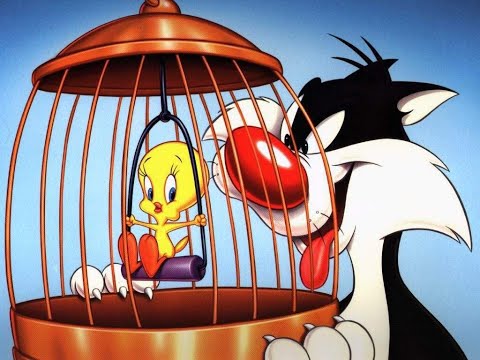 Sylvester & Tweety TURKCE  FULL HD