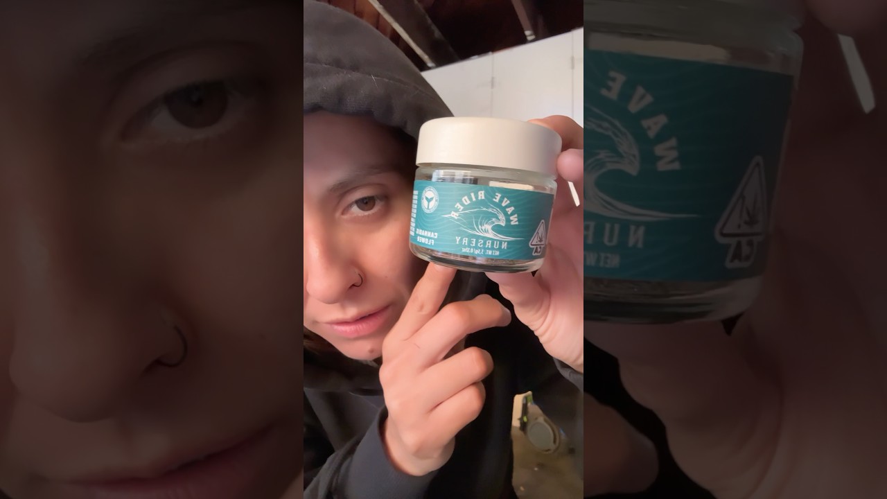 Wave Rider-3.5gFlower - Modified Mintz Review 