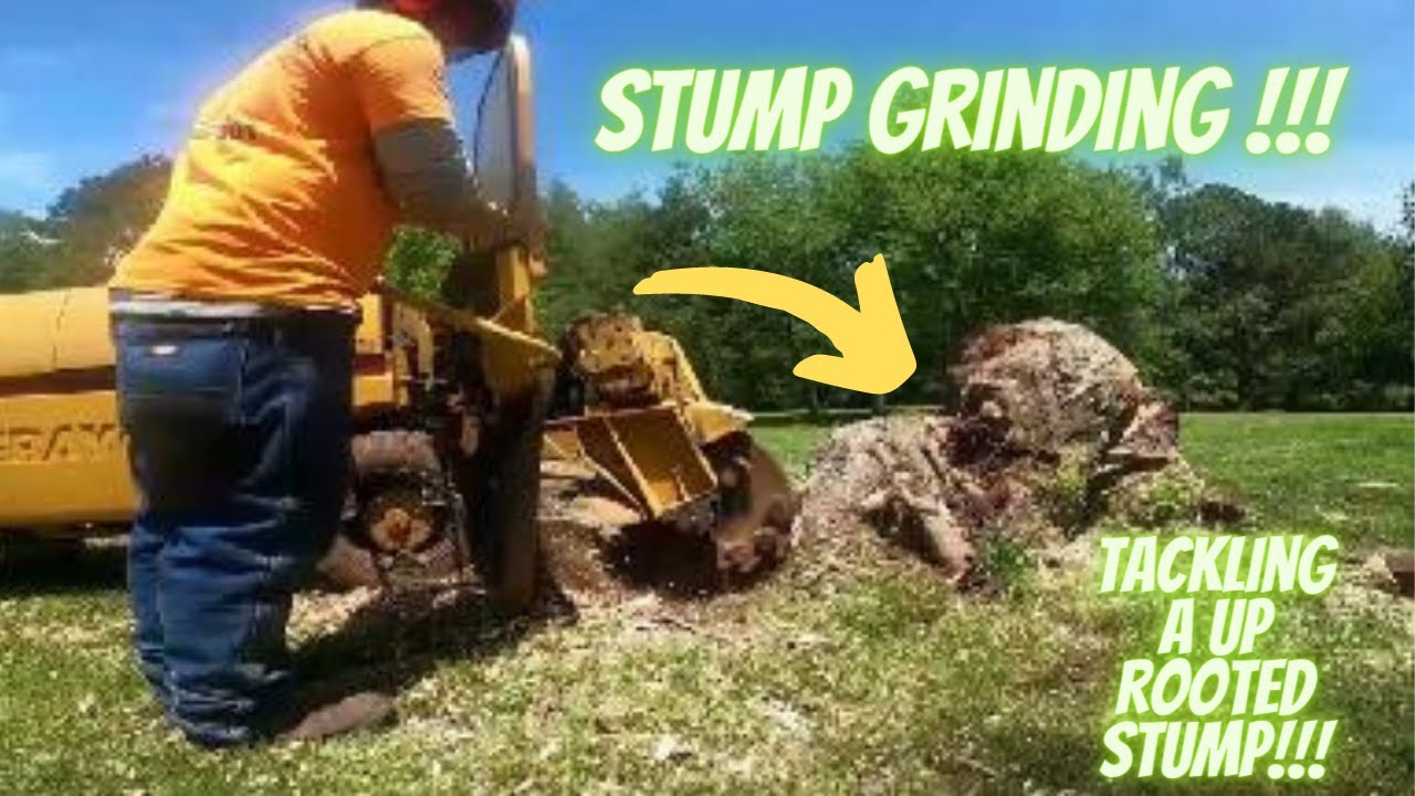 Rayco Rg50 removing a uprooted maple stump - YouTube