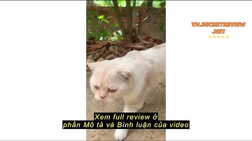 Review Bình Lọc Nước Hưng Long Onemom 15L, bình lọc nước ONE MOM, bình lọc nước gia đình