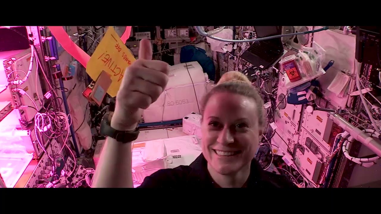 ISS Research Overview Adam Savage~orig