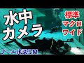 【ダイビング】レンズ３本プールで比較してみた【OLYMPUS】【LUMIX】【M.ZUIKO】