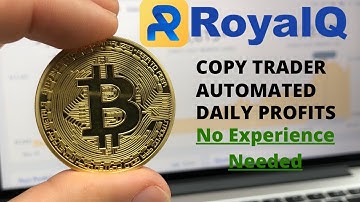 Royal Q Binance Crypto Currency Trading Bot - Copy Trader - Automated Daily Profits