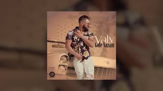 Valy - Gole Nazam Official Track | ولى - گل نازم