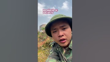 Khoảng cách để trồng cây bồ kết ghép #câybồkết #câygiốngbồkết