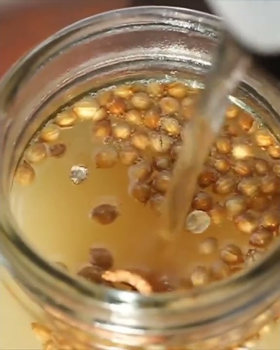 Manfaat Madu Klanceng Untuk Asam Lambung