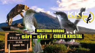 JEDA 1 MENIT !!!  | SUARA SIRI SIRI & CIBLEK FULL MASTERAN