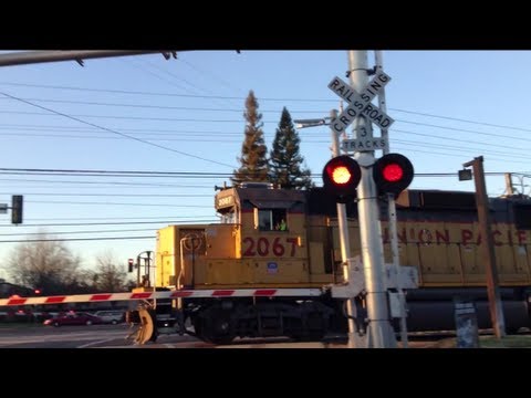 Union Pacific Freight Train LRR45 2067 and Light Rail train at Horn Rd Railroad Crossing