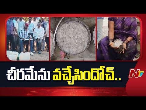Cheeramenu Fish : గోదావరి జిల్లాలో చీరమేను సందడి | Godavari district | NTV Telugu - NTVTELUGU