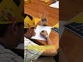 Hoppers operación castor | actividad gratis