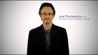 #TomorrowsDiscoveries: Understanding the Immune System— Dr. Joel Pomerantz