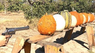 500 Magnum vs Pumpkins