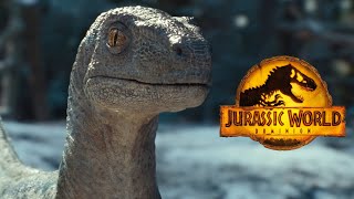 The Future Of Beta In The Jurassic Park Franchise | Dominion Sequel