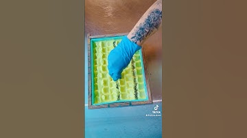 Making a LEMON POPPYSEED Soap! 🍋 #soapmaking #soapmaker #soaping #soaper #soap #soaps #cpsoap