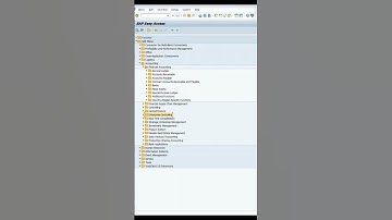SAP Users – FI & CO in Easy Access Screen