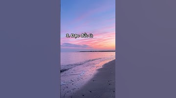 Khám Phá 10 Câu Nói Hay Nhất Của Không Tử Đáng Để Ta Suy Ngẫm #caunoihay #shorts  #caunoiynghia