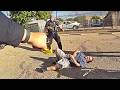 Robbery Suspect Crashes Car Then Pulls Knife On Officers