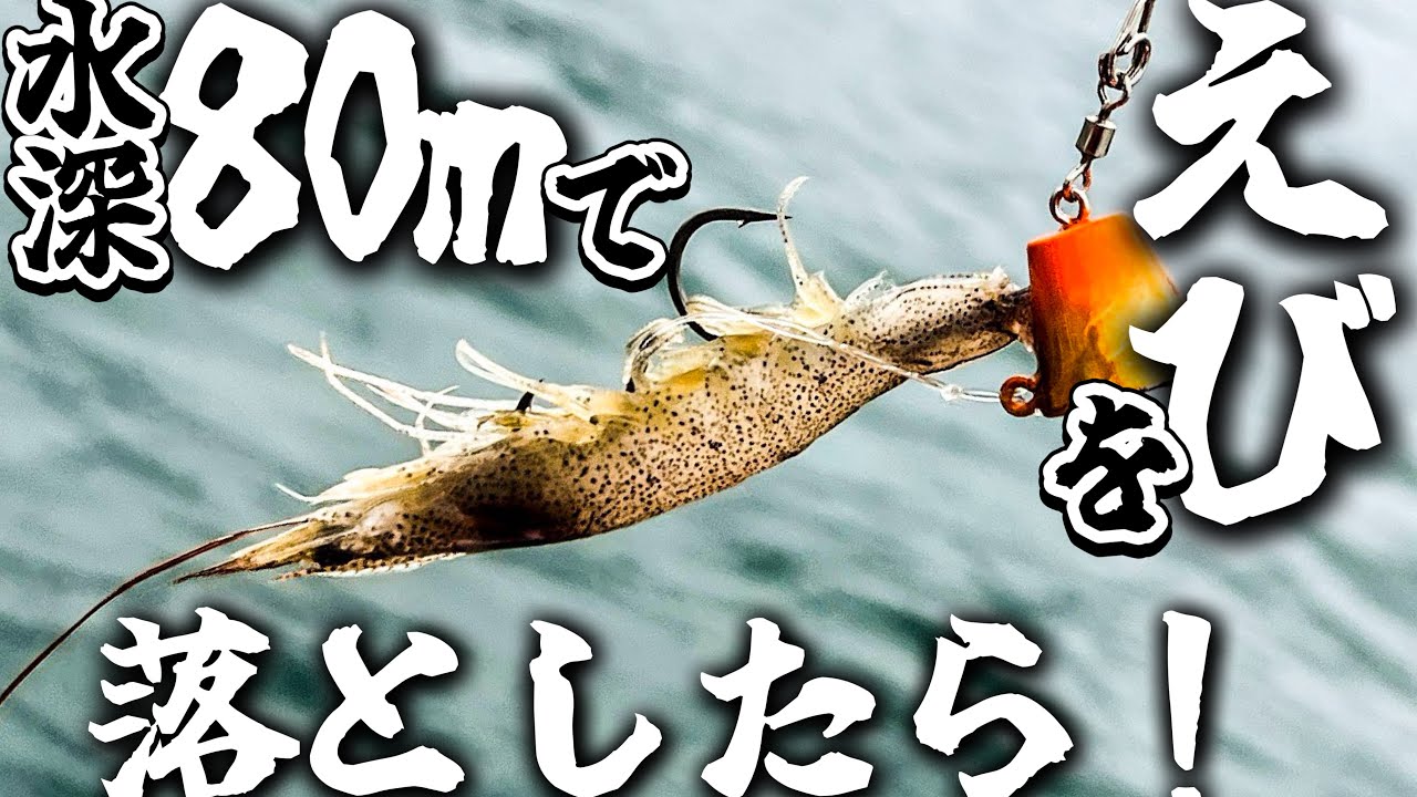 水深80mの海でエビを落として釣りしたら！ - YouTube