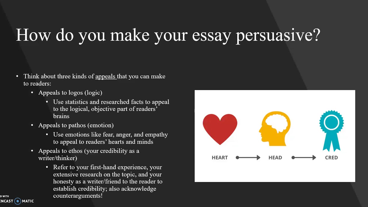 what is your understanding of the persuasive essay
