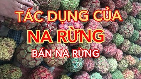 Na rừng có tác dụng gì - Hướng dẫn ngâm rượu na rừng