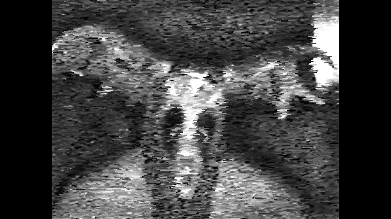 Dazzled By Night - Claw&Fang