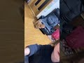 おもちゃをあげない姪っ子とおもちゃをあげる豆柴 #柴犬 #豆柴 #shorts